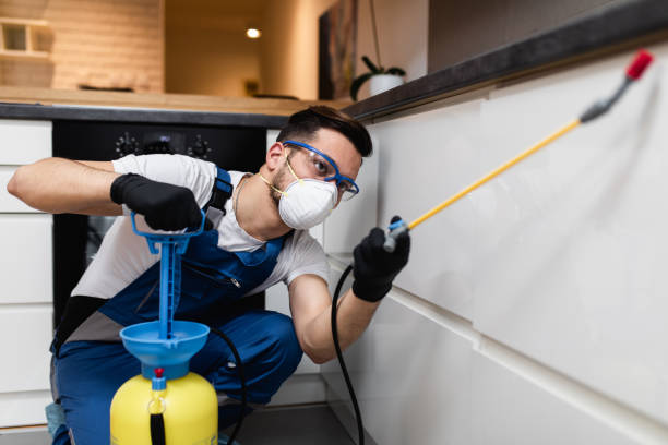 Best Pest Prevention Services  in Alexandria, IN