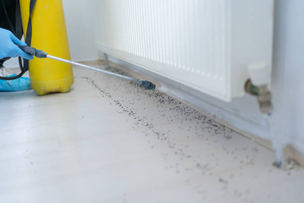 Best Pest Removal Services  in Alexandria, IN