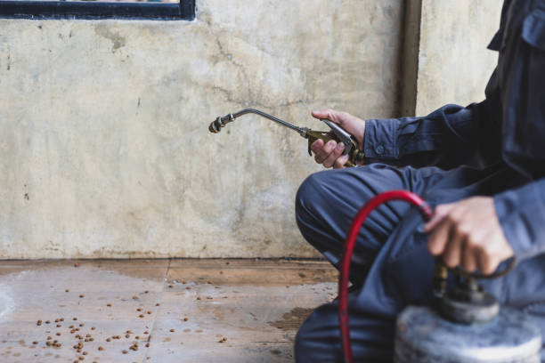 Pest Prevention Services in Alexandria, IN