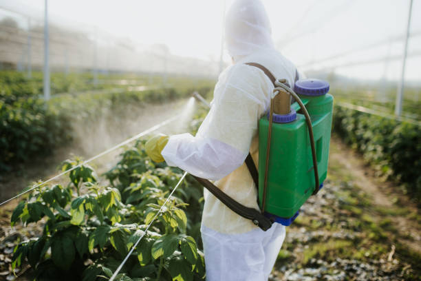 Best Best Pest Control Near Me  in Alexandria, IN